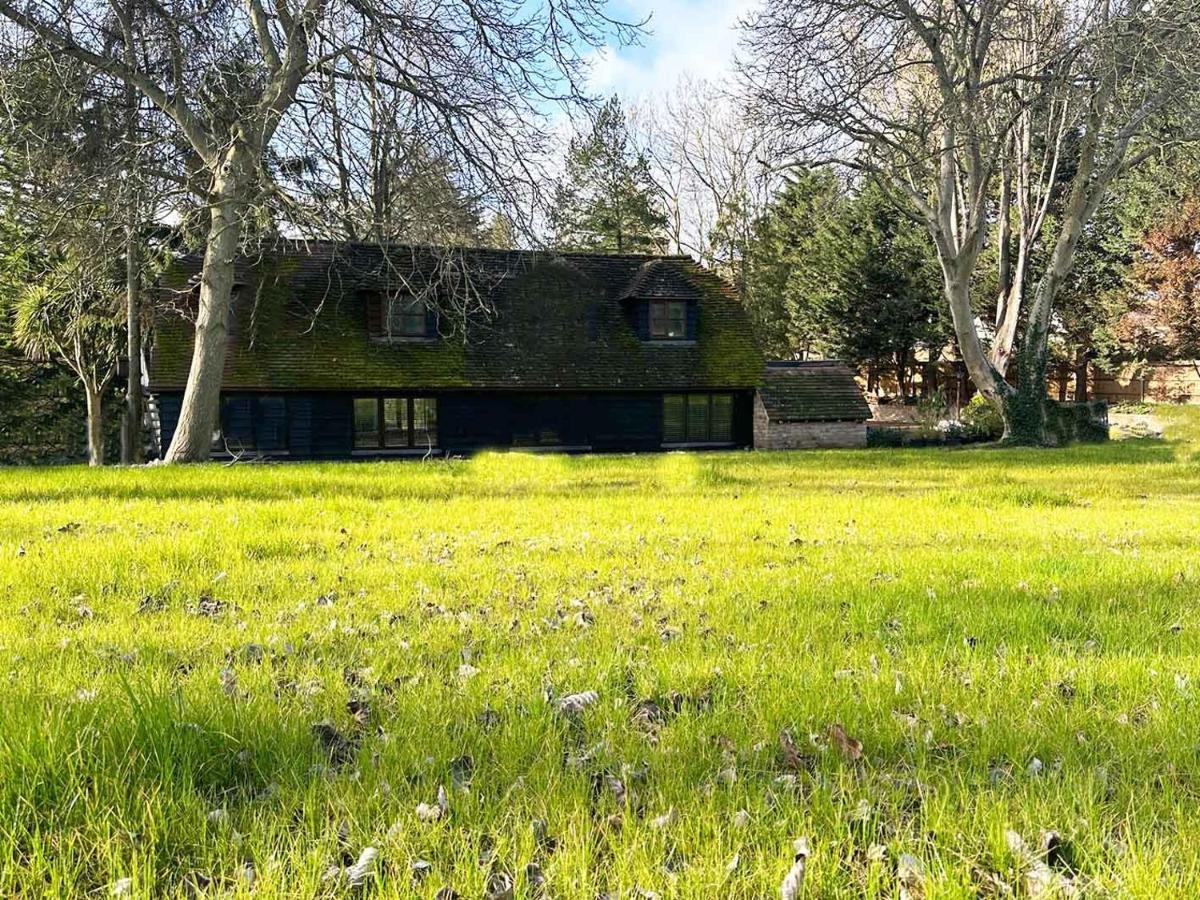Forest Studio Apartment Gated Parking On 2 Acres Garden Chislehurst Exterior foto
